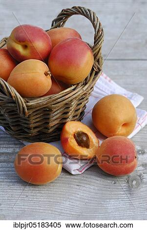 Stock Photography - Basket with apricots ( Ribes rubrum) apricot, apricot. Fotosearch