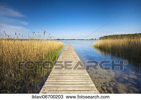 Bathing place with wooden jetty, clear lake with reed belt, Rödliner See, near Neustrelitz, Mecklenburg-Western Pomerania, Germany, Europe View Large Photo Image Stock Image - Bathing place with wooden jetty, clear lake with reed belt, Rödliner See, near Neustrelitz, Mecklenburg-Western Pomerania, Germany, Europe. Fotosearch