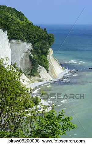 Beech forest, chalk cliffs, chalk coast, Jasmund National Park, Baltic Sea, Rügen, Mecklenburg-Western Pomerania, Germany, Europe View Large Photo Image Stock Photo - Beech forest, chalk cliffs, chalk coast, Jasmund National Park, Baltic Sea, Rügen, Mecklenburg-Western Pomerania, Germany, Europe. Fotosearch