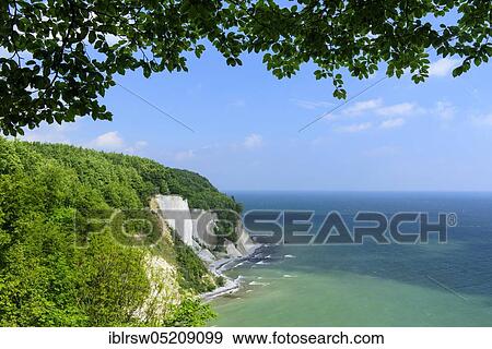 Beech forest, chalk cliffs, chalk coast, Jasmund National Park, Baltic Sea, Rügen, Mecklenburg-Western Pomerania, Germany, Europe View Large Photo Image Stock Photo - Beech forest, chalk cliffs, chalk coast, Jasmund National Park, Baltic Sea, Rügen, Mecklenburg-Western Pomerania, Germany, Europe. Fotosearch