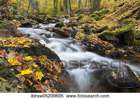 Bergbach, River Ilse, Ilsenburg, Harz National Park, Saxony-Anhalt, Germany, Europe View Large Photo Image Stock Photography - Bergbach, River Ilse, Ilsenburg, Harz National Park, Saxony-Anhalt, Germany, Europe. Fotosearch
