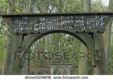 Stock Photograph - Bexadde valley, Dammer mountains, alder spring forest, alder quarry, alder forest, Lower Saxony, Germany, Europe. Fotosearch