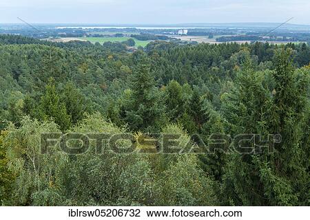 Bick from the observation tower at Mordkuhlenberg, Dammer Berge, Oldenburger Münsterland, Lower Saxony, Germany, Europe View Large Photo Image Stock Image - Bick from the observation tower at Mordkuhlenberg, Dammer Berge, Oldenburger Münsterland, Lower Saxony, Germany, Europe. Fotosearch