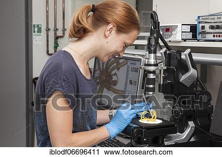 Biologist of the Aquatic Ecosystems Group, during her research work on isopod spiders, at the Faculty of Biology, University of Duisburg-Essen, Essen, North Rhine-Westphalia, Germany, Europe View Large Photo Image Stock Image - Biologist of the Aquatic Ecosystems Group, during her research work on isopod spiders, at the Faculty of Biology, University of Duisburg-Essen, Essen, North Rhine-Westphalia, Germany, Europe. Fotosearch