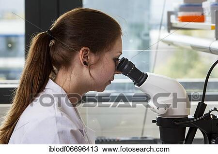 Biology student at the microscope at the Faculty of Biology in the University of Duisburg-Essen during research work, Essen, North Rhine-Westphalia, Germany, Europe View Large Photo Image Stock Image - Biology student at the microscope at the Faculty of Biology in the University of Duisburg-Essen during research work, Essen, North Rhine-Westphalia, Germany, Europe. Fotosearch