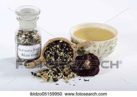 Stock Image - Black hollyhock, cup of hollyhock tea (Alcea rosea nigra), tea strainer. Fotosearch
