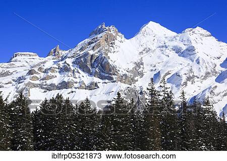 Blumlisalp Rothorn, Oeschinenhorn, Blüemlisalp, Bernese Alps, Bern, Switzerland, Europe View Large Photo Image Stock Image - Blumlisalp Rothorn, Oeschinenhorn, Blüemlisalp, Bernese Alps, Bern, Switzerland, Europe. Fotosearch