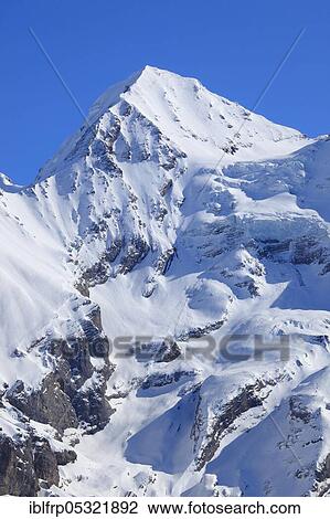 Stock Image - Blüemlisalphorn, Blüemlisalp, Bernese Alps, Bern, Switzerland, Europe. Fotosearch