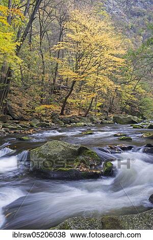 Bode, Bodetal, Harz National Park, Saxony-Anhalt, Germany, Europe View Large Photo Image Stock Photo - Bode, Bodetal, Harz National Park, Saxony-Anhalt, Germany, Europe. Fotosearch