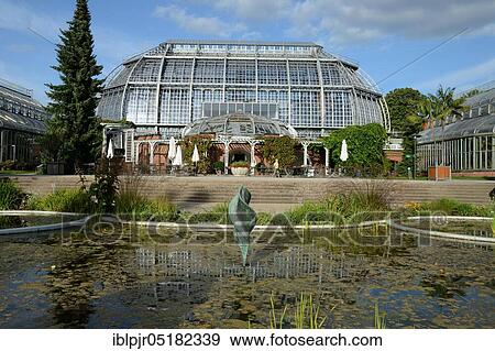 Stock Photo - Botanical garden, greenhouse, large tropical house, Berlin-Lichterfelde, Berlin, Germany, Europe. Fotosearch