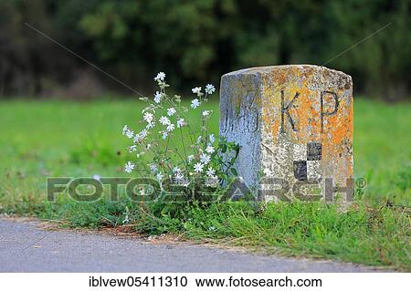 Stock Image - Boundary stone, Baden, Hohenzollern, Württemberg, Dietfurt, Upper Danube nature park Park, Baden-Württemberg, Germany, Europe. Fotosearch