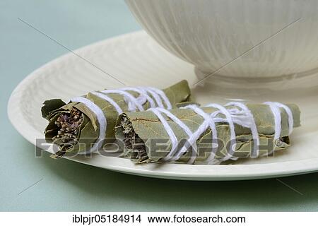 Picture - Bouquet garni, herb bouquet of bay leaf, thyme, oregano and savory. Fotosearch