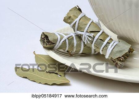 Stock Photo - Bouquet garni, herb bouquet of bay leaf, thyme, oregano and savory. Fotosearch