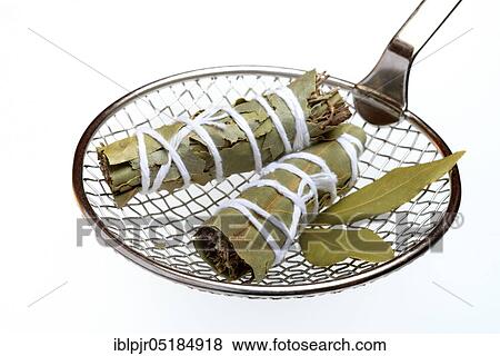 Stock Photo - Bouquet garni, herb bouquet of bay leaf, thyme, oregano and savory. Fotosearch