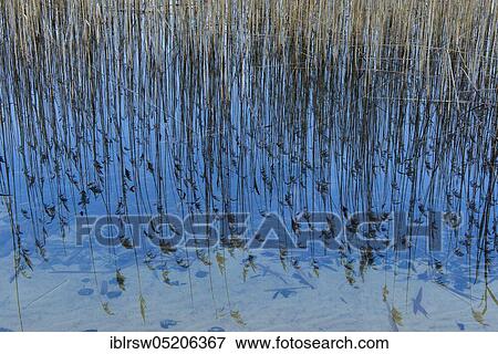 Stock Photo - Breiter Luzin, Feldberg Lakeland, Mecklenburg-Vorpommern, Germany, Europe. Fotosearch