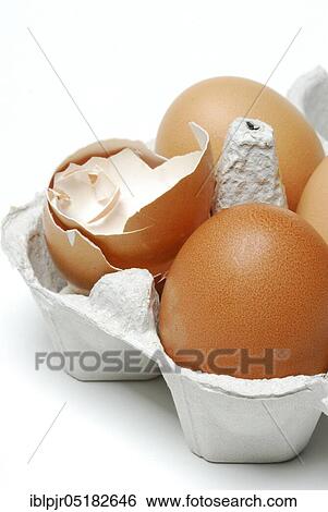 Brown hen's eggs, egg shells, hen's eggs View Large Photo Image Stock Photograph - Brown hen's eggs, egg shells, hen's eggs. Fotosearch