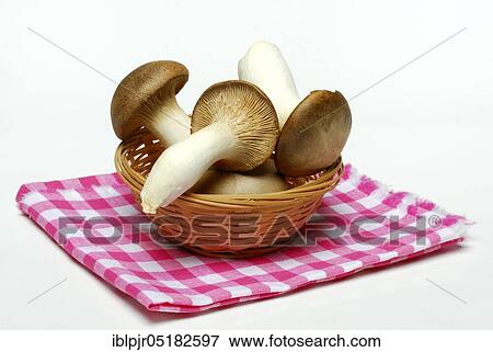 Stock Photo - Brown ( Pleurotus eryngii), Cup. Fotosearch
