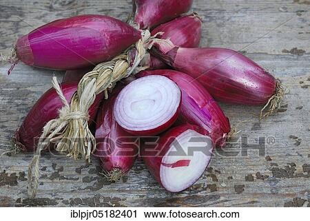 Stock Image - Bunch red onions, onion. Fotosearch