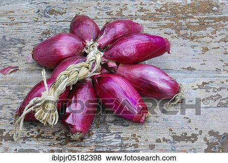 Bunch red onions, onion View Large Photo Image Stock Photo - Bunch red onions, onion. Fotosearch