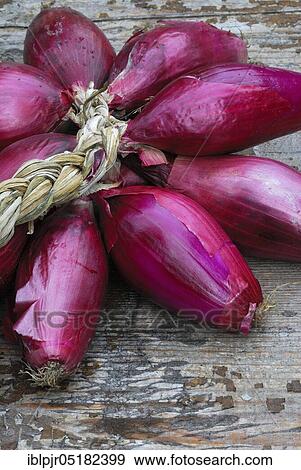 Bunch red onions, onion View Large Photo Image Stock Photo - Bunch red onions, onion. Fotosearch