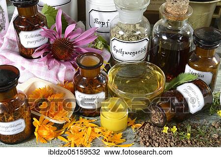 Calendula (Potentilla tormentilla) (Calendula officinalis) (tincture) Echinacea purpurea, milk thistle (Silybum marianum), bloodroot, tea, ointment View Large Photo Image Stock Image - Calendula (Potentilla tormentilla) (Calendula officinalis) (tincture) Echinacea purpurea, milk thistle (Silybum marianum), bloodroot, tea, ointment. Fotosearch