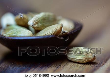 Cardamom (Elettaria cardamomum) View Large Photo Image Stock Image - Cardamom (Elettaria cardamomum). Fotosearch