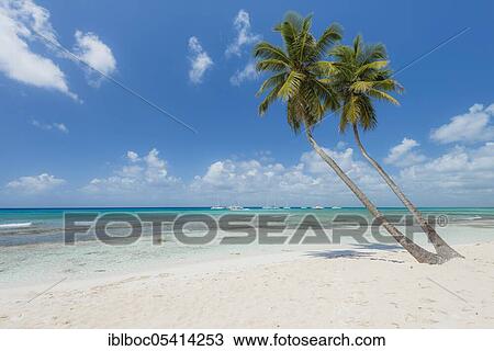 Caribbean Beach, Dominican Republic, Central America View Large Photo Image Stock Image - Caribbean Beach, Dominican Republic, Central America. Fotosearch