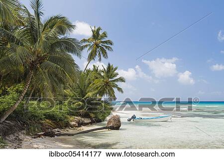 Stock Photo - Caribbean Beach, Dominican Republic, Central America. Fotosearch