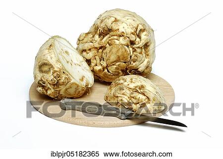 Celery (Apium graveolens) tuber and halved tuber, knife View Large Photo Image Stock Photography - Celery (Apium graveolens) tuber and halved tuber, knife. Fotosearch