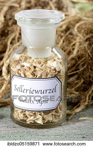 Celery root (Radix Apii) View Large Photo Image Stock Image - Celery root (Radix Apii). Fotosearch