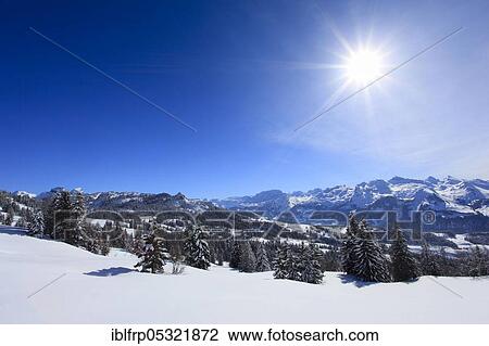 Central Switzerland Alps, Central Switzerland, Switzerland, Central Switzerland, Europe View Large Photo Image Stock Image - Central Switzerland Alps, Central Switzerland, Switzerland, Central Switzerland, Europe. Fotosearch