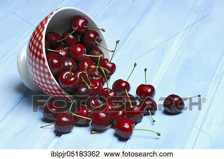 Stock Image - Cherry in bowl, Sweet,, Sweet, stone fruit, stone fruit. Fotosearch