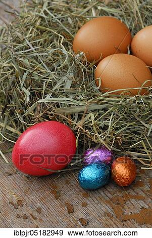 Stock Photo - Chicken eggs, chocolate eggs and easter egg in nest, chocolate. Fotosearch