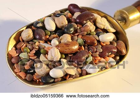 Chickpeas, green peas, fava beans, azuki beans, lentils, beans, borlotti beans, mung beans, black-eyed beans, chickpea, pea, fava bean, azuki bean, lentil, bean, borlotti bean, mung bean, black-eyed bean View Large Photo Image Stock Photograph - Chickpeas, green peas, fava beans, azuki beans, lentils, beans, borlotti beans, mung beans, black-eyed beans, chickpea, pea, fava bean, azuki bean, lentil, bean, borlotti bean, mung bean, black-eyed bean. Fotosearch