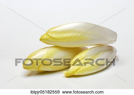 Stock Photo - Chicory ( Cichorium intybus foliosum). Fotosearch