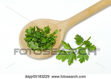 Stock Photo - Chopped in a wooden spoon, leaf of smooth Parsleykitchen herbs. Fotosearch