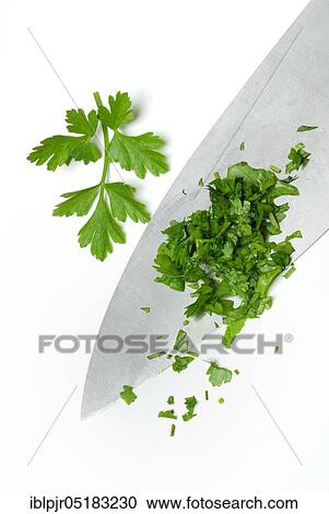 Stock Image - Chopped on knife, leaf of smooth Parsleykitchen herbs. Fotosearch