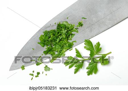 Stock Image - Chopped on knife, leaf of smooth Parsleykitchen herbs. Fotosearch