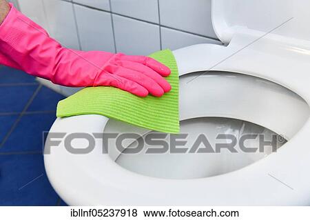 Cleaning, bathroom, toilet seat View Large Photo Image Stock Photo - Cleaning, bathroom, toilet seat. Fotosearch