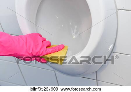 Cleaning, bathroom, urinal View Large Photo Image Stock Photo - Cleaning, bathroom, urinal. Fotosearch
