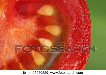 Close-up of a sliced Tomato (Solanum lycopersicum) View Large Photo Image Stock Photo - Close-up of a sliced Tomato (Solanum lycopersicum). Fotosearch