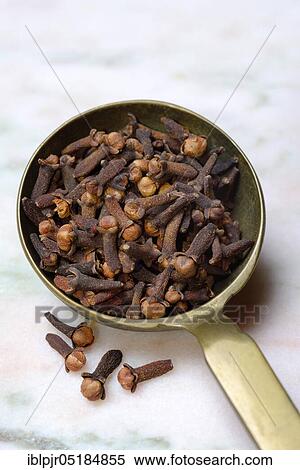 Stock Photography - Cloves in ladle ( Syzygium aromaticum). Fotosearch