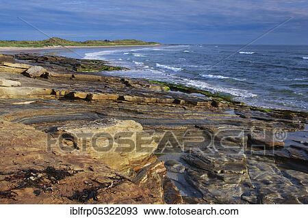 Stock Image - Coast in Northumberland, Great Britain. Fotosearch
