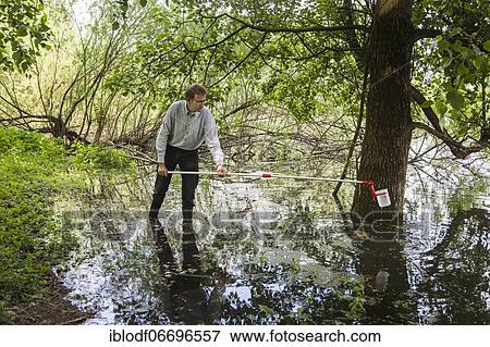 Stock Photo - Collection of water samples by Prof. Dr. Jens Boenigk, head of the Biodiversity Research Group, from the University of Duisburg-Essen near Grietherbusch on the Lower Rhine, North Rhine-Westphalia, Germany, Europe. Fotosearch