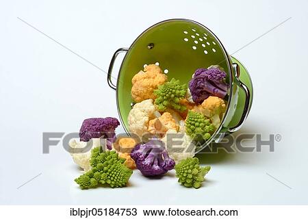 Stock Image - Coloured Cauliflower ( Braßica oleracea var. botrytis) in draining sieve ( Braßica oleracea, var. botrytis). Fotosearch