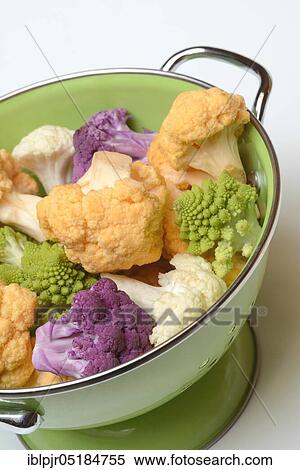 Coloured Cauliflower ( Braßica oleracea var. botrytis) in draining sieve ( Braßica oleracea, var. botrytis) View Large Photo Image Stock Photography - Coloured Cauliflower ( Braßica oleracea var. botrytis) in draining sieve ( Braßica oleracea, var. botrytis). Fotosearch
