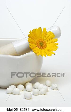 Stock Image - Common marigold, blossom, mortar. Fotosearch