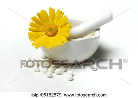 Stock Photo - Common marigold, blossom, mortar. Fotosearch