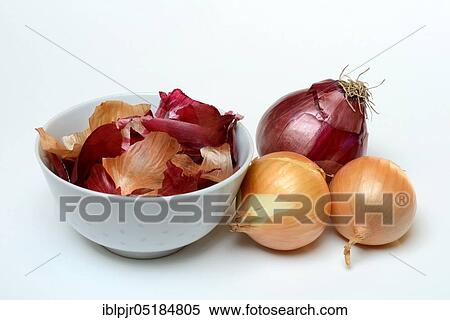 Stock Photography - Common onionbowls in bowl and ( Allium cepa). Fotosearch