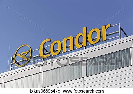 Condor, logo on Hangar 7, maintenance site at Düsseldorf Airport, Düsseldorf, North Rhine-Westphalia, Germany, Europe View Large Photo Image Stock Photography - Condor, logo on Hangar 7, maintenance site at Düsseldorf Airport, Düsseldorf, North Rhine-Westphalia, Germany, Europe. Fotosearch
